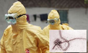 ebolaamerica-NEWSONE