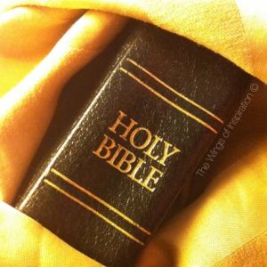 HOLY BIBLE-WOI (448x600)