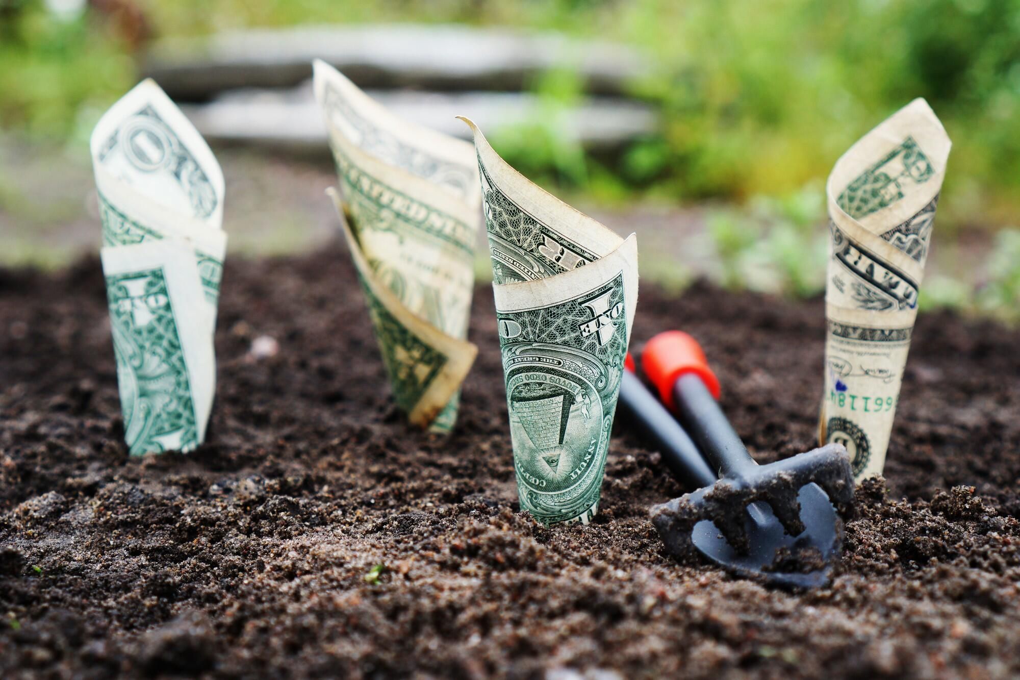 Why financial wisdom includes looking beyond today's tax bill